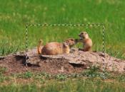 Retaining a photo's aspect ratio while cropping