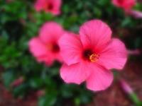 Shallow depth of field